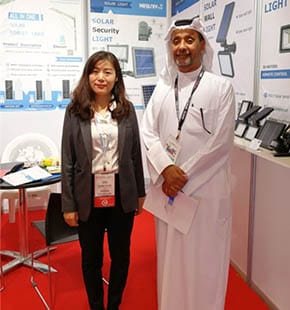 EXPO solar light for home