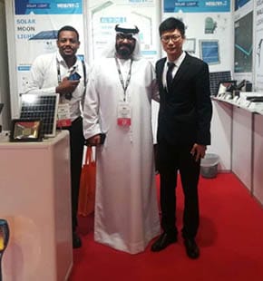 solar pole lights for garden