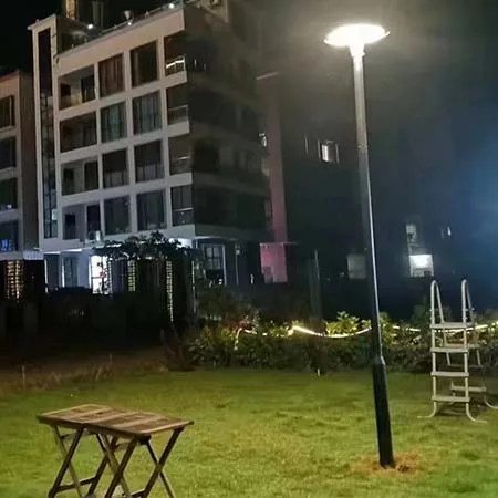 solar panel street light