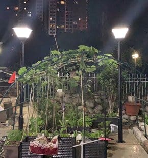 SCL-001 solar pole lights for garden