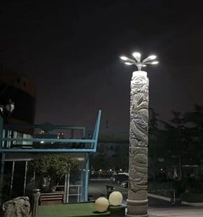 SCL-007 solar panel pole light