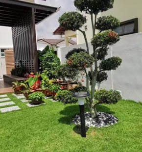 SLL-004 solar light backyard