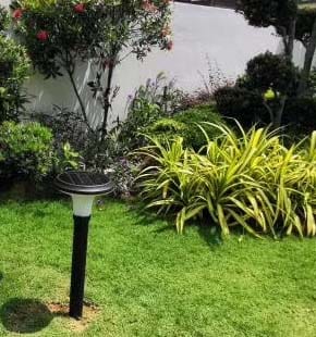 SLL-004 solar light backyard2