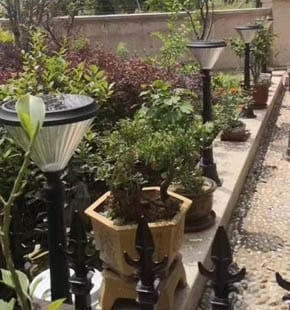 SLL-005 solar yard lights