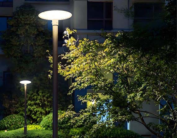 main of SCL-TT566 06