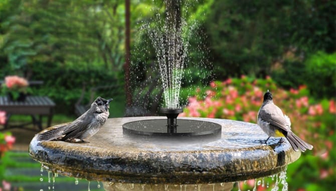 AS10B solar water fountain