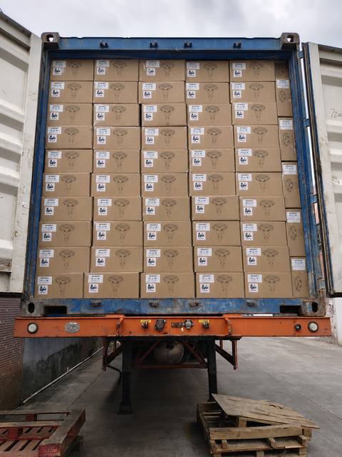 SCL-004R solar outdoor lights export packing in China factory