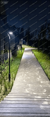 SCL-009PLUS solar garden lights installed along a residential community walkway in Australia