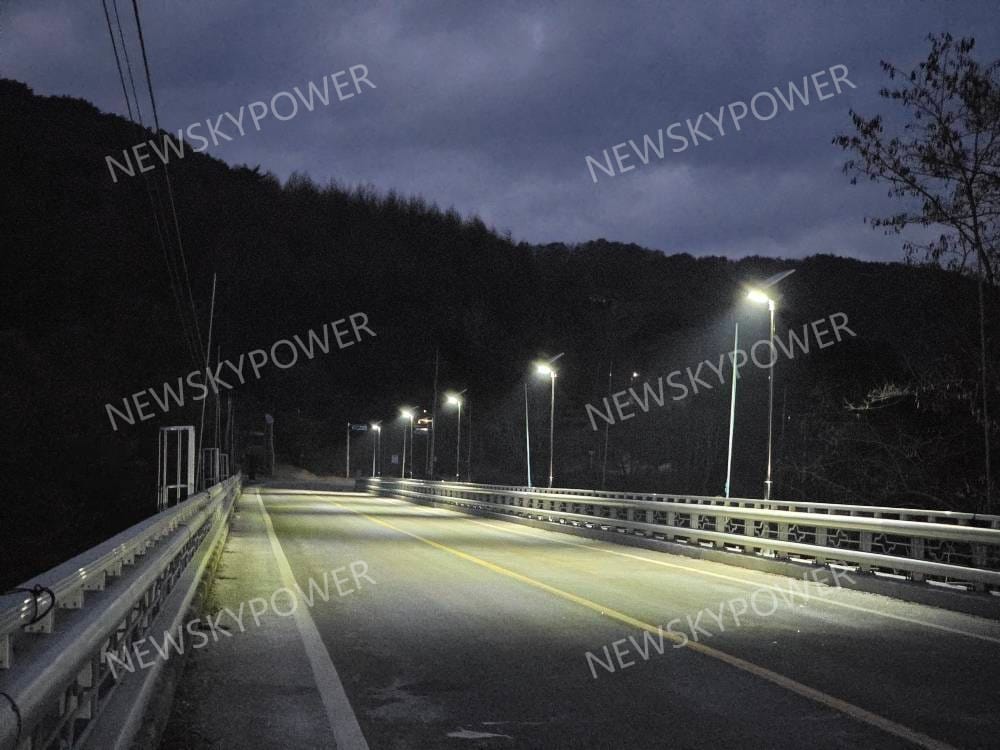 NF-60W solar street lights installed on mountain road bridge in South Korea