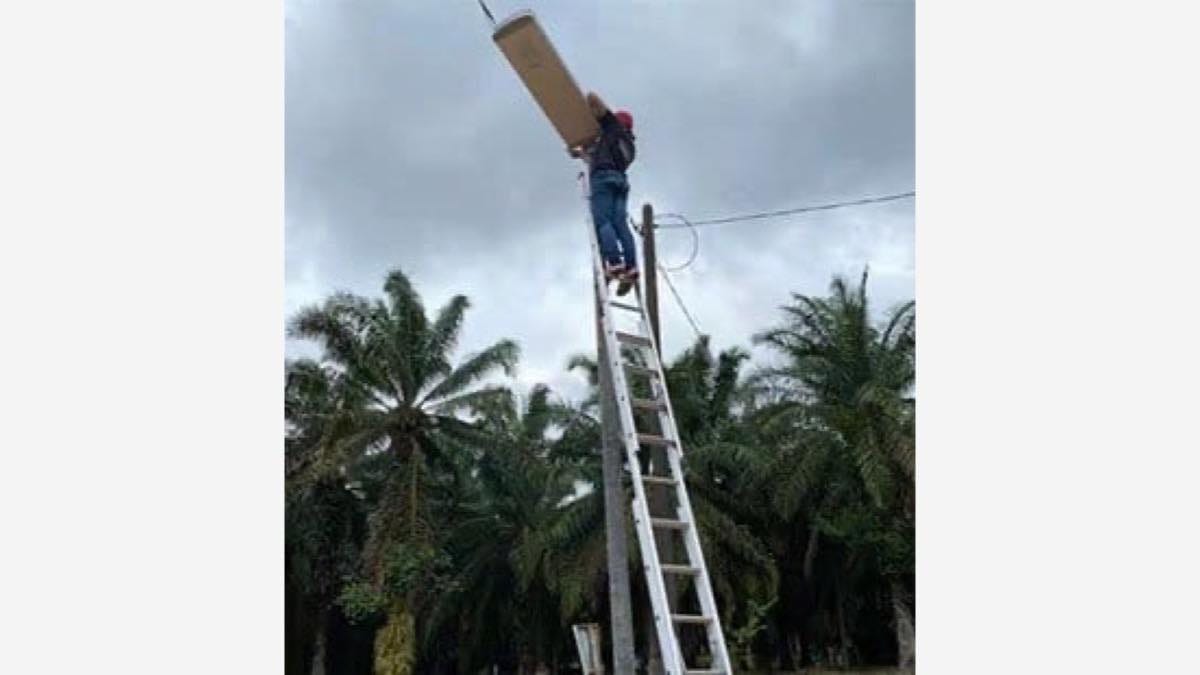 Newskypower solar street light used on a rural road