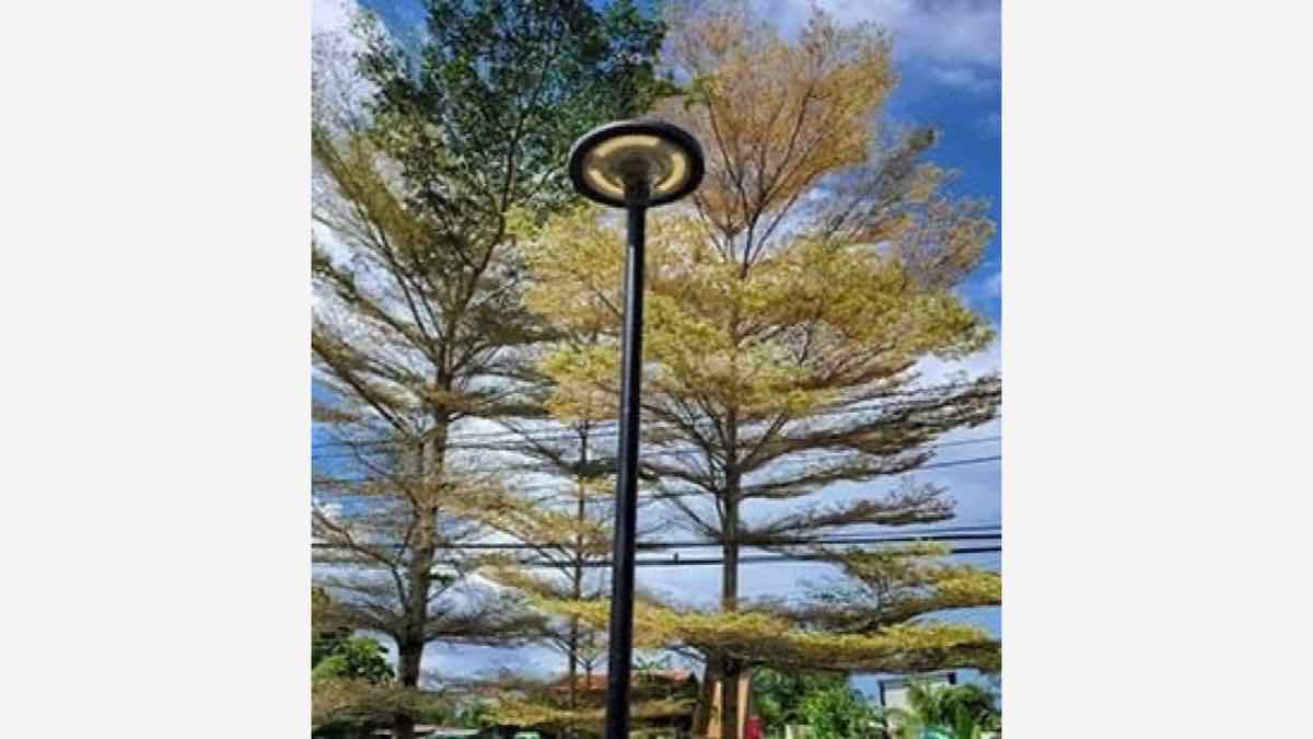 Newskypower solar street light project in China