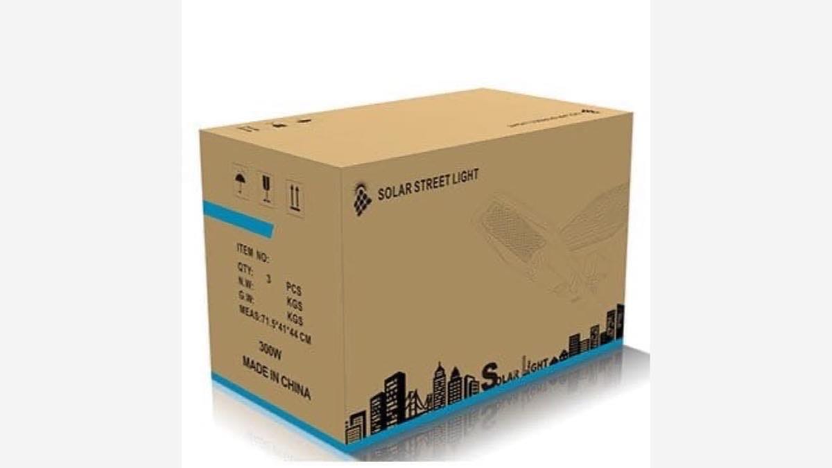 Newskypower solar street light packaging prepared for project logistics