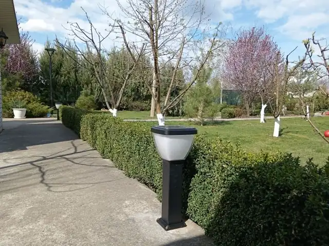 SLL-010 fixed-base bollard beside paving and planting
