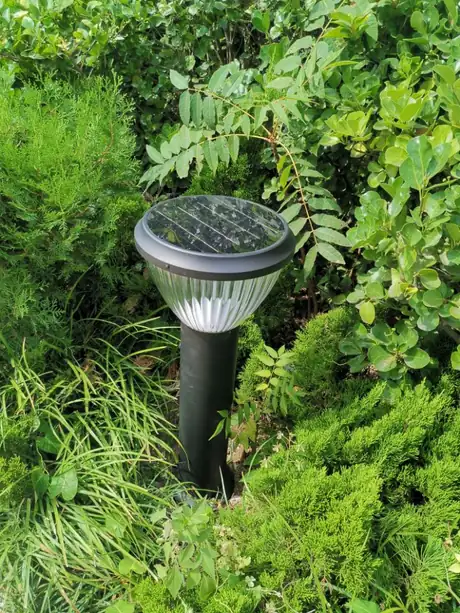 Solar bollard standing among garden foliage