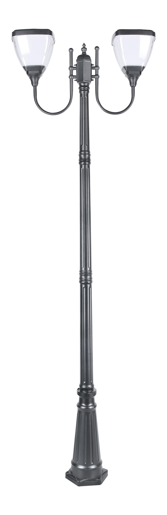Source-library double-head pole-light assembly