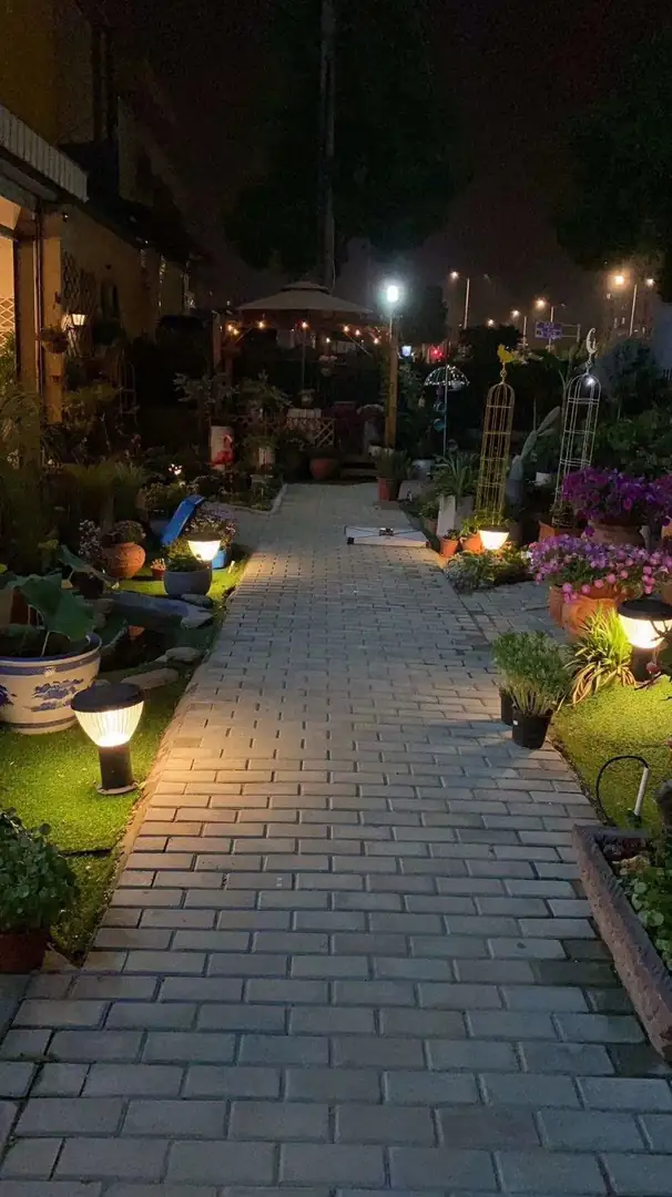 Paved garden walkway bordered by potted plants and illuminated low-level lights