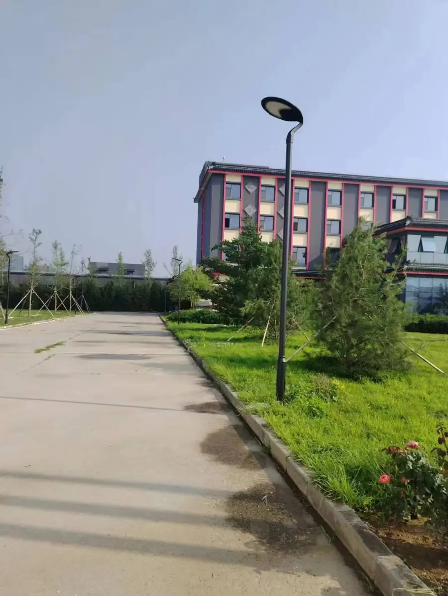 Courtyard light beside a paved route and building