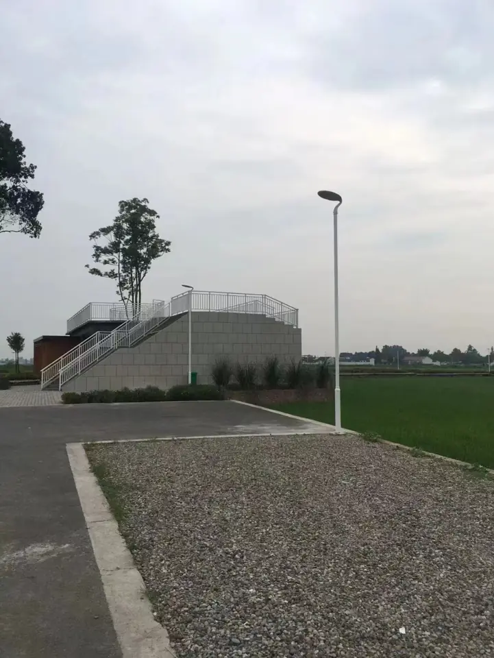 Pole light in an open area near steps and paving