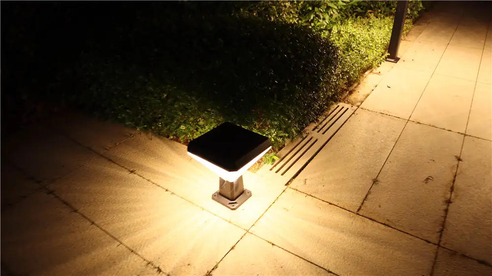 Low-level light beside paving, planting and a drain