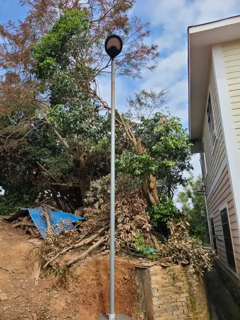 SCL-008 pole-mounted light near trees and a building