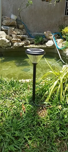 Integrated-panel stake light among plants beside a pond