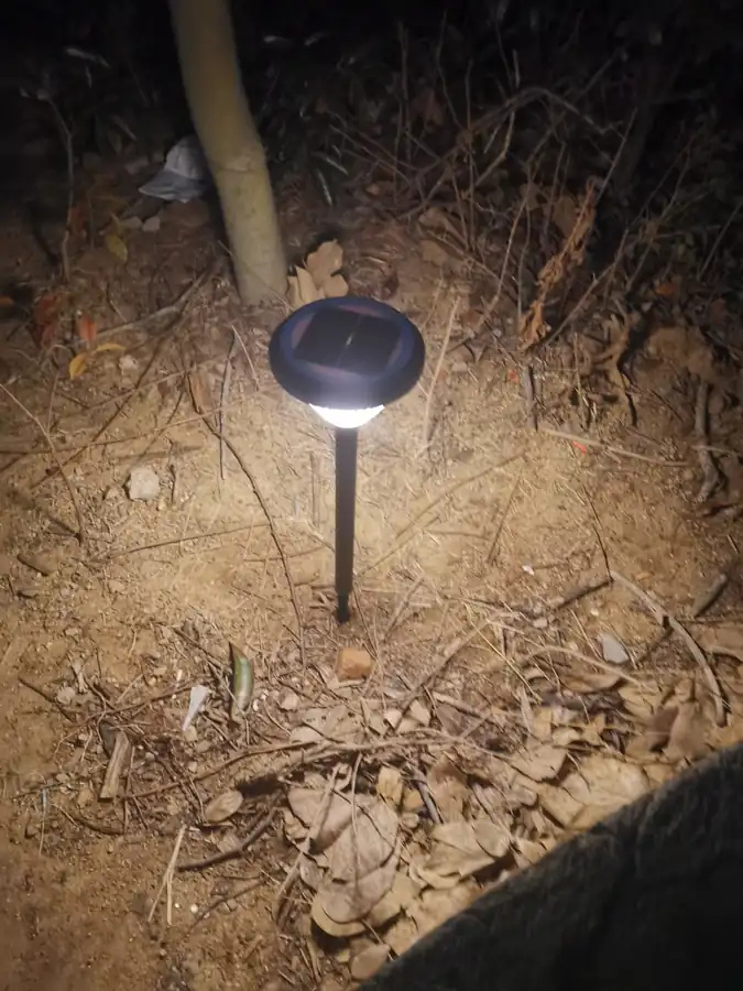Solar stake light with visible panel surrounded by leaves and soil
