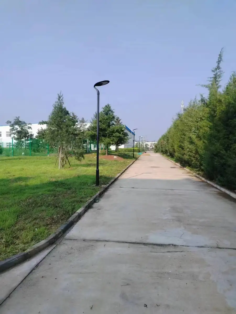 Pole-mounted lights beside a long landscaped walkway in daylight