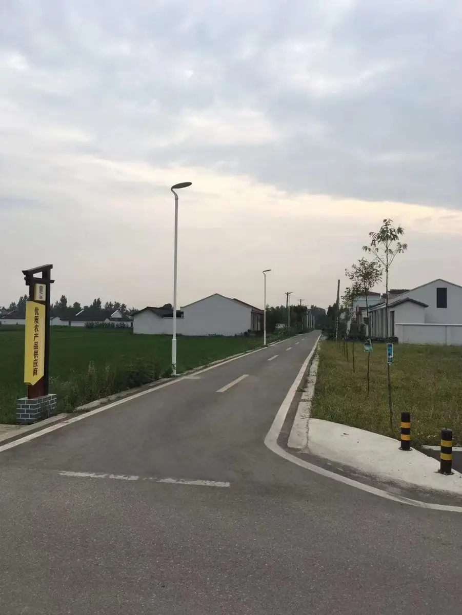 Pole-mounted solar lights along a route between buildings and planting