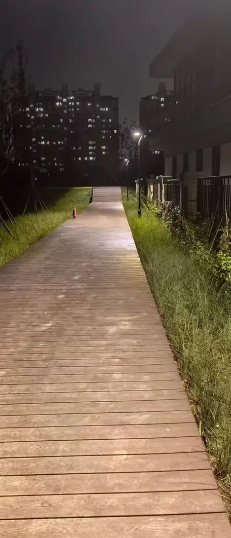 Solar garden lights positioned beside a landscaped walkway at night