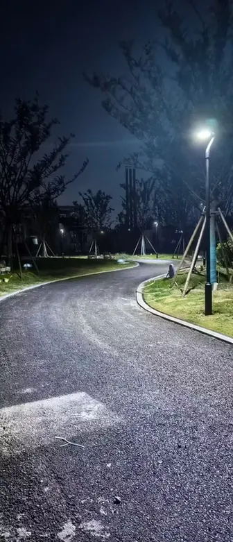 A pole-top solar garden light illuminating a curved outdoor walkway