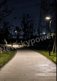 Pole-top solar lights beside a landscaped pathway at night