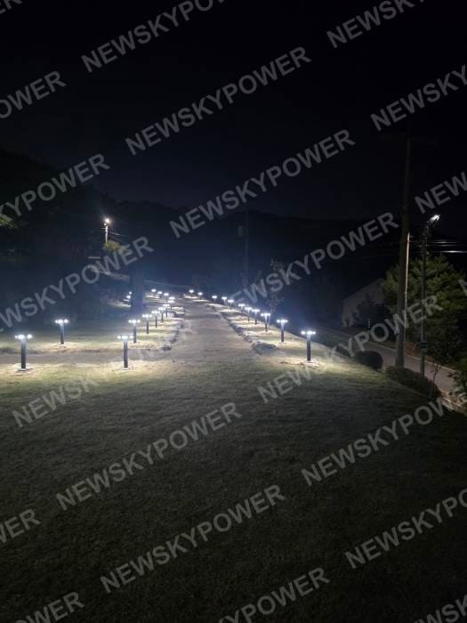 Solar bollard lights lining both sides of a landscaped pathway at night